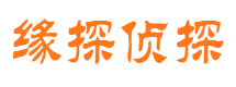 铁锋侦探